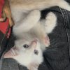 Images de profil de emma - Blooming Pets - Petsitting et garde d'animaux à domicile