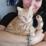 Happy   Chat de gouttière (Commun) Femelle - Garde d'animaux à domicile
