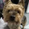 Images de profil de Camille - Blooming Pets - Petsitting et garde d'animaux à domicile