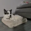 Images de profil de Camille - Blooming Pets - Petsitting et garde d'animaux à domicile