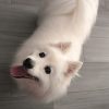 Images de profil de Camille - Blooming Pets - Petsitting et garde d'animaux à domicile