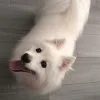 Images de profil de Camille - Blooming Pets - Petsitting et garde d'animaux à domicile