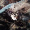 Images de profil de SANDRINE - Blooming Pets - Petsitting et garde d'animaux à domicile