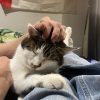 Images de profil de Angie - Blooming Pets - Petsitting et garde d'animaux à domicile
