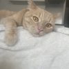 Images de profil de Angie - Blooming Pets - Petsitting et garde d'animaux à domicile