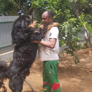 Images de profil de Jean Mathieu - Blooming Pets - Petsitting et garde d'animaux à domicile