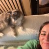 Images de profil de Charlotte - Blooming Pets - Petsitting et garde d'animaux à domicile
