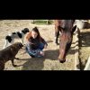 Images de profil de Fanny - Blooming Pets - Petsitting et garde d'animaux à domicile