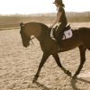 Images de profil de Fanny - Blooming Pets - Petsitting et garde d'animaux à domicile
