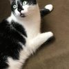 Images de profil de Sandra - Blooming Pets - Petsitting et garde d'animaux à domicile