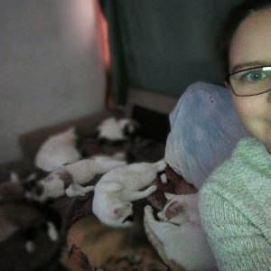 Images de profil de Gwen - Blooming Pets - Petsitting et garde d'animaux à domicile
