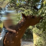 Image de profil de Shana - Blooming Pets - Petsitting et garde d'animaux à domicile