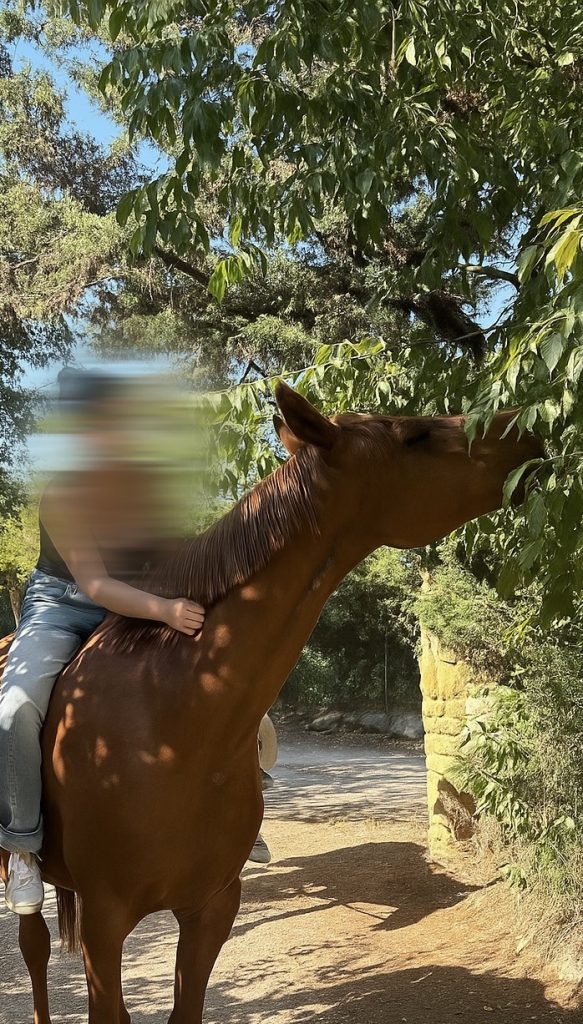 Image de profil de Shana - Blooming Pets - Petsitting et garde d'animaux à domicile