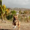 Images de profil de Chloe - Blooming Pets - Petsitting et garde d'animaux à domicile
