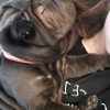 Images de profil de juliette - Blooming Pets - Petsitting et garde d'animaux à domicile