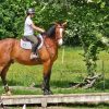 Images de profil de Eléonore - Blooming Pets - Petsitting et garde d'animaux à domicile