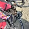 Images de profil de Elodie - Blooming Pets - Petsitting et garde d'animaux à domicile