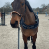 Images de profil de Lou - Blooming Pets - Petsitting et garde d'animaux à domicile
