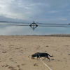 Images de profil de Lou - Blooming Pets - Petsitting et garde d'animaux à domicile