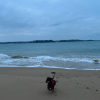 Images de profil de Lou - Blooming Pets - Petsitting et garde d'animaux à domicile