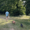 Images de profil de Lou - Blooming Pets - Petsitting et garde d'animaux à domicile