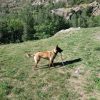 Images de profil de Claudine - Blooming Pets - Petsitting et garde d'animaux à domicile