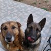 Images de profil de Claudine - Blooming Pets - Petsitting et garde d'animaux à domicile