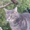 Images de profil de Vanessa - Blooming Pets - Petsitting et garde d'animaux à domicile