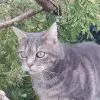 Images de profil de Vanessa - Blooming Pets - Petsitting et garde d'animaux à domicile