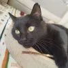 Images de profil de Vanessa - Blooming Pets - Petsitting et garde d'animaux à domicile