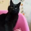 Images de profil de Vanessa - Blooming Pets - Petsitting et garde d'animaux à domicile