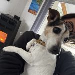 Image de profil de Eva - Blooming Pets - Petsitting et garde d'animaux à domicile