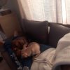 Images de profil de jonathan - Blooming Pets - Petsitting et garde d'animaux à domicile