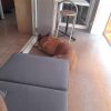 Images de profil de jonathan - Blooming Pets - Petsitting et garde d'animaux à domicile
