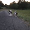 Images de profil de Lea - Blooming Pets - Petsitting et garde d'animaux à domicile