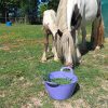Images de profil de Sara - Blooming Pets - Petsitting et garde d'animaux à domicile