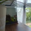 Images de profil de Sara - Blooming Pets - Petsitting et garde d'animaux à domicile