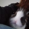 Images de profil de Sara - Blooming Pets - Petsitting et garde d'animaux à domicile
