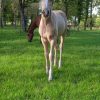 Images de profil de Sara - Blooming Pets - Petsitting et garde d'animaux à domicile