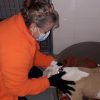 Images de profil de Catherine - Blooming Pets - Petsitting et garde d'animaux à domicile