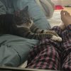 Images de profil de Constance - Blooming Pets - Petsitting et garde d'animaux à domicile