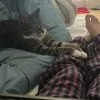Images de profil de Constance - Blooming Pets - Petsitting et garde d'animaux à domicile