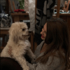 Images de profil de Kaecilia Rose - Blooming Pets - Petsitting et garde d'animaux à domicile