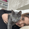 Images de profil de Kaecilia Rose - Blooming Pets - Petsitting et garde d'animaux à domicile