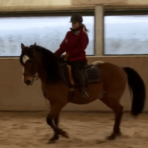 Image de profil de justine - Blooming Pets - Petsitting et garde d'animaux à domicile