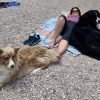 Images de profil de Candice - Blooming Pets - Petsitting et garde d'animaux à domicile