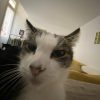 Images de profil de Ocean - Blooming Pets - Petsitting et garde d'animaux à domicile
