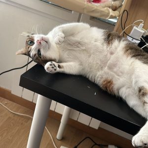Images de profil de adrien - Blooming Pets - Petsitting et garde d'animaux à domicile