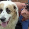 Images de profil de Cécile - Blooming Pets - Petsitting et garde d'animaux à domicile