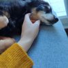 Images de profil de Marion - Blooming Pets - Petsitting et garde d'animaux à domicile